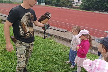 Obrázek č.15